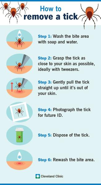How To Remove a Tick: Dos and Don'ts