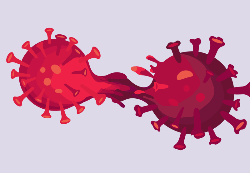 How Long Does Corona Virus Survive in Clothes: Uncover Facts