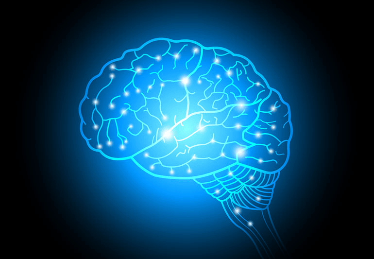 Top 10 Most Amazing Facts About Human Brain Games Rare Reads Books