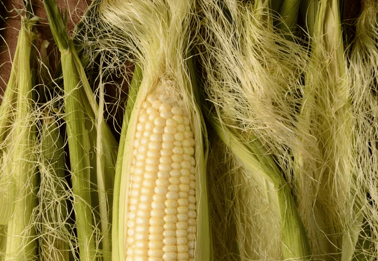 Should You Eat Corn Silk? 4 Health Benefits