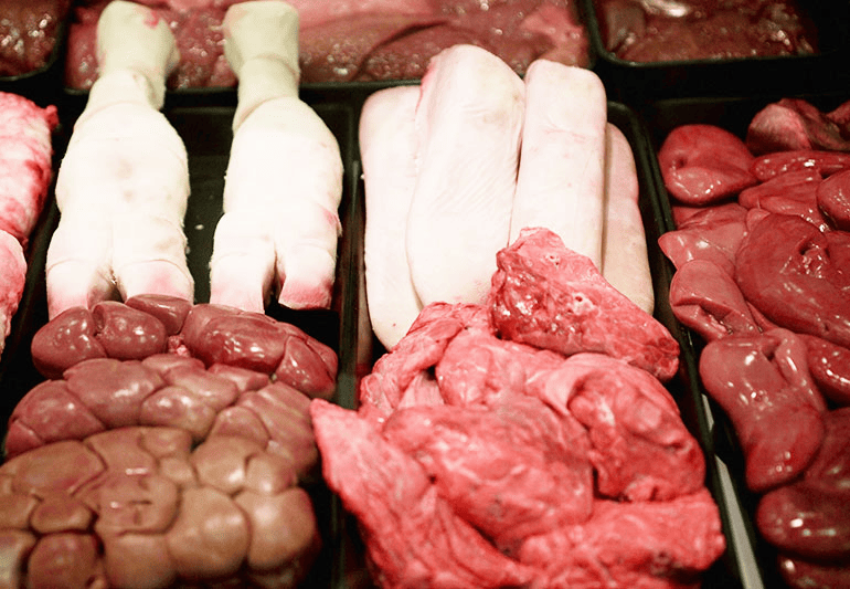 Human Meat Protein: Shocking Facts and Nutritional Myths Revealed