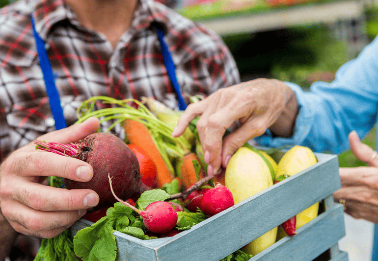 Plant Paradox Diet: Does It Work for Weight Loss?