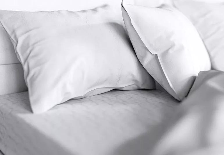 Hypoallergenic store pillow covers