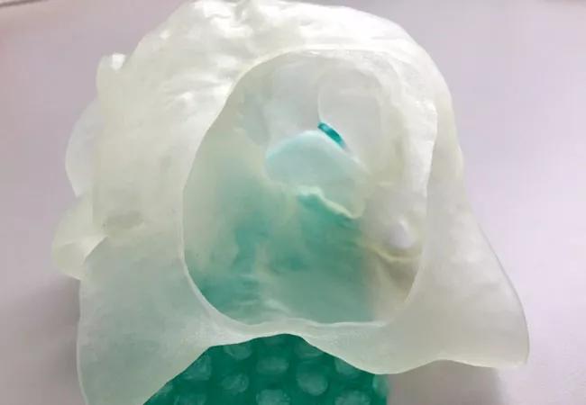 3D-printed replica of a tricuspid valve