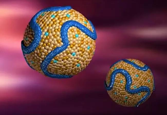 does glp 1 shrink your stomach Will My Stomach Shrink On Semaglutide?