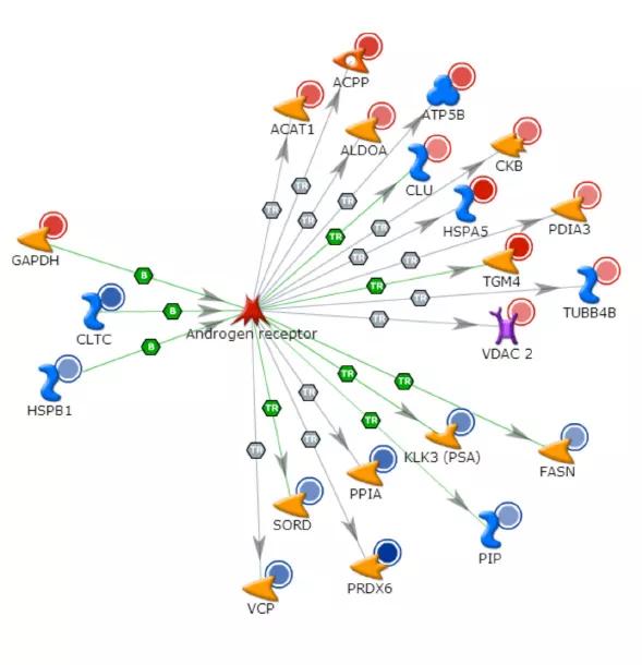 Male-Infertility-Mechanism-Inset-Image-590pxl-width