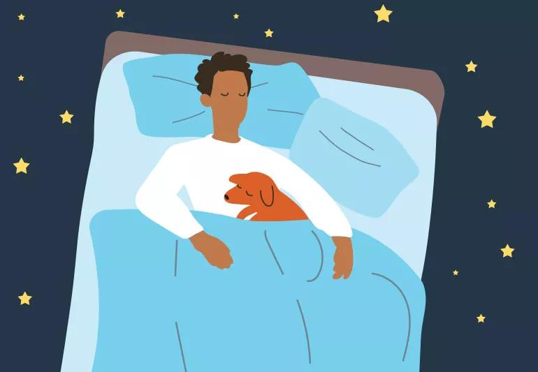 Sleeping with Dogs: Benefits for Your Health, Risks, and Precautions