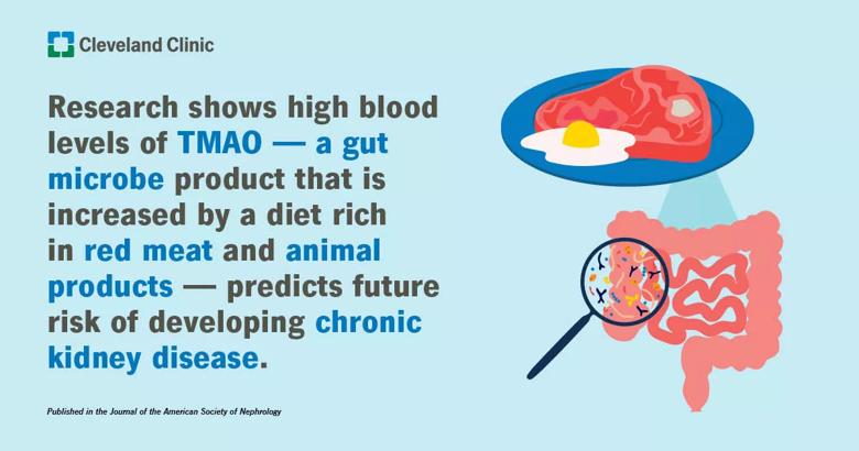 Infographic on TMAO research