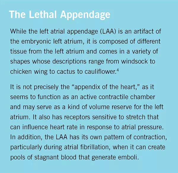 Figure 2. The WATCHMAN device opens like an umbrella to conform to the shape of the LAA. Illustration reprinted from Cleveland Clinic Journal of Medicine (2015;82:167-176).