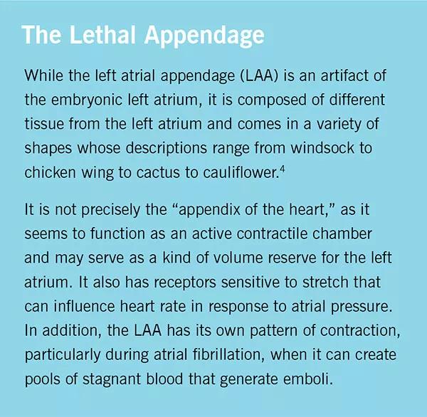 Figure 2. The WATCHMAN device opens like an umbrella to conform to the shape of the LAA. Illustration reprinted from Cleveland Clinic Journal of Medicine (2015;82:167-176).