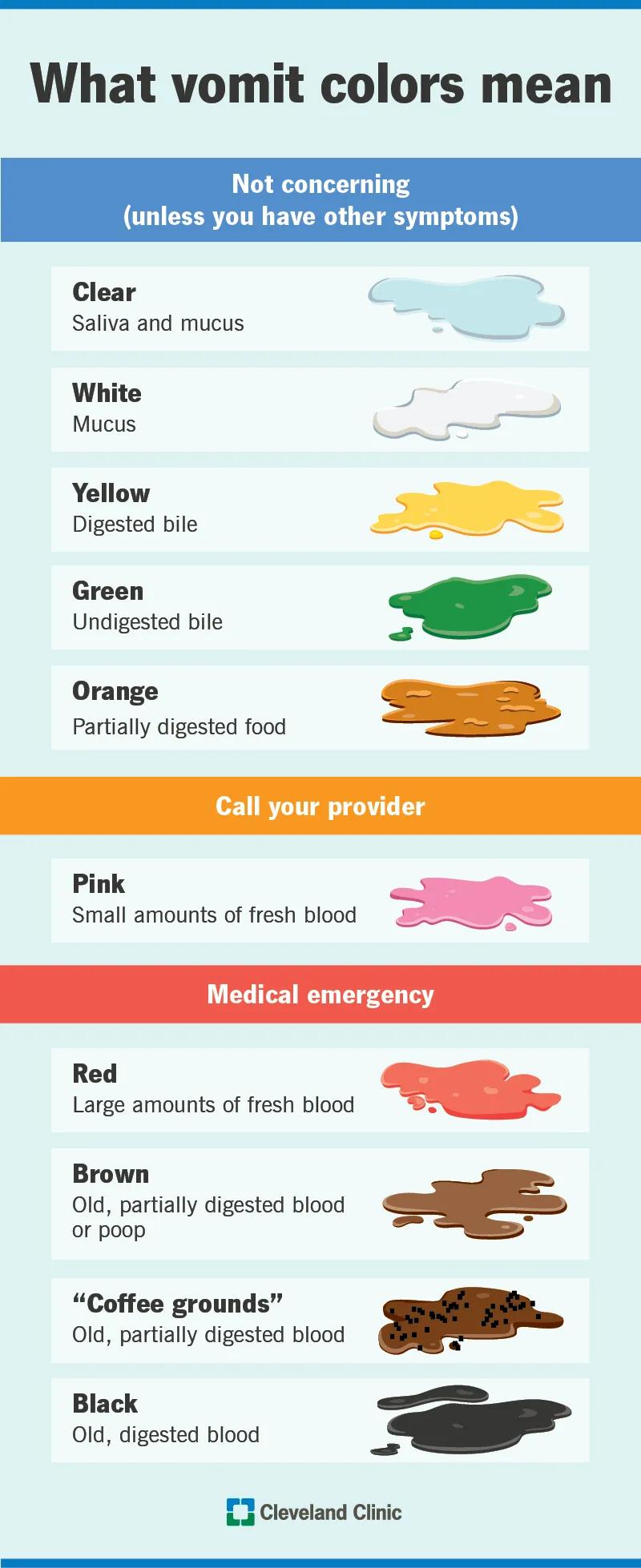 Vomit color chart