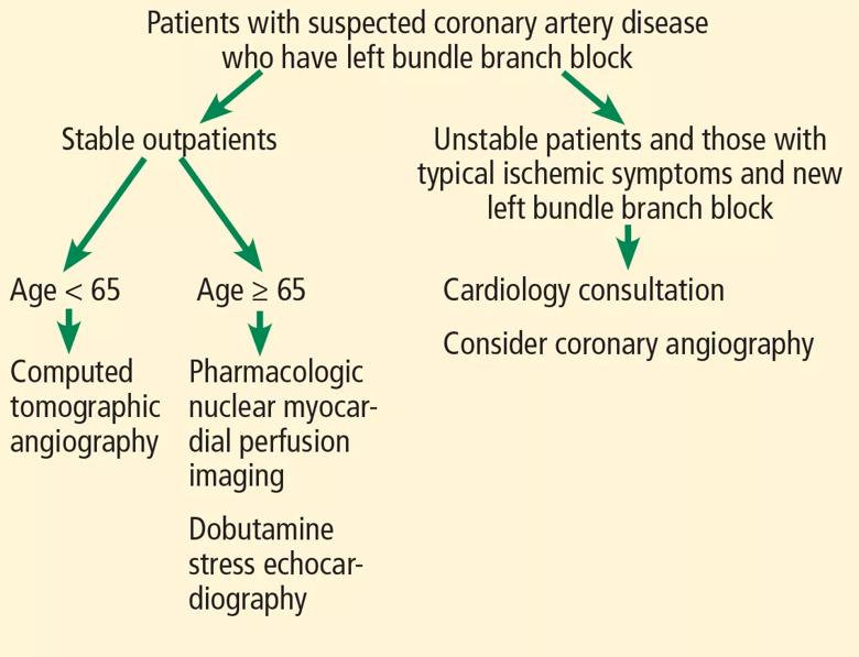Figure 3. Proposed diagnostic pathway for patients with suspected obstructive coronary artery disease and resting left bundle branch block.