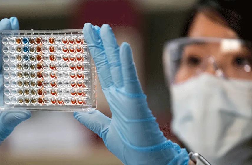 Gloved hands hold a microplate with liquid samples as a researcher reviews laboratory results.