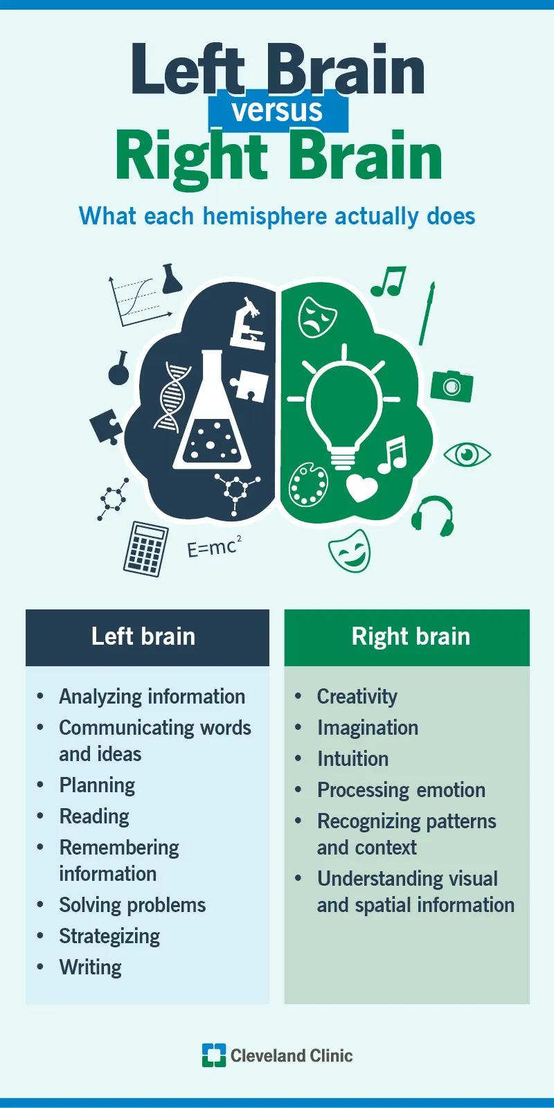 Left brain vs. right brain characteristics