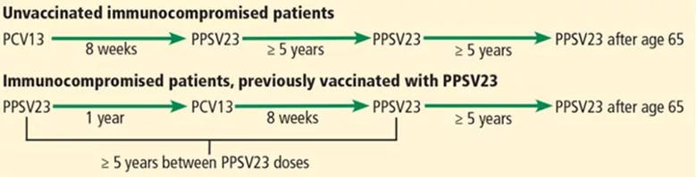 Navigating pneumococcal vaccination in adults