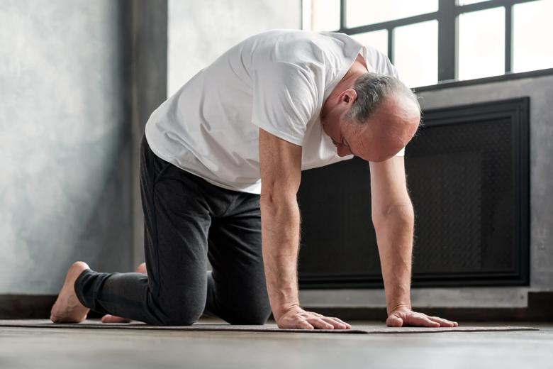 Chakravakasana/Cat Pose