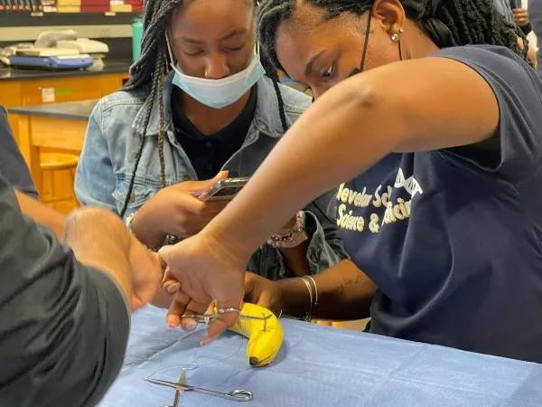 Students practice suturing on a banana.