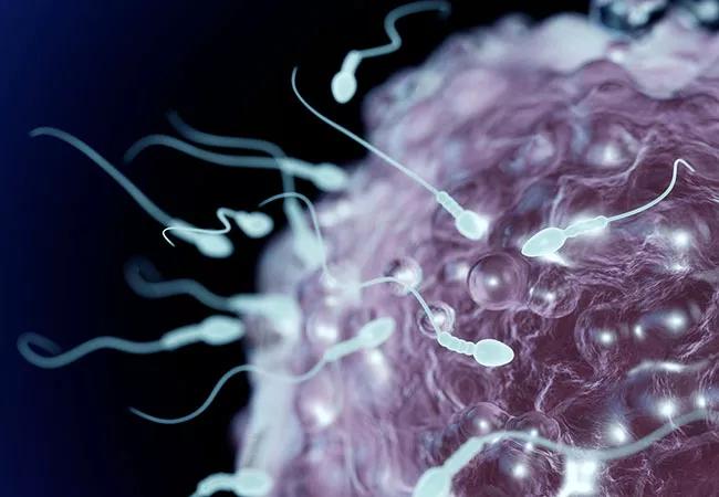 YO Home Sperm Test Found To Be A User-Friendly, Accurate Way to Screen Samples at Home