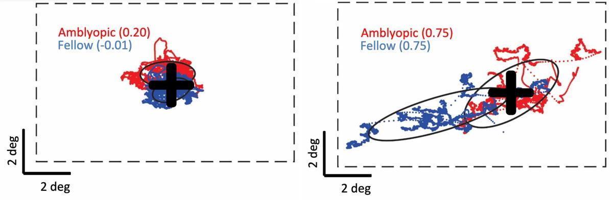 Two graphs with red and blue scribbles
