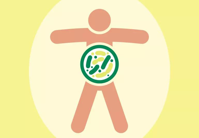 probiotics and probiotics and their effects