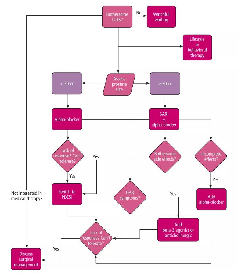 Flow chart to guide medical management of benign prostatic hyperplasia 