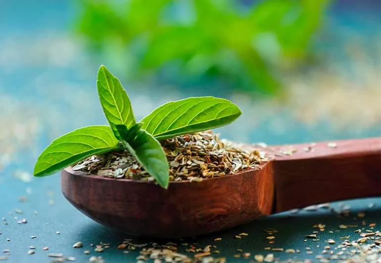 5 Health Benefits of Holy Basil