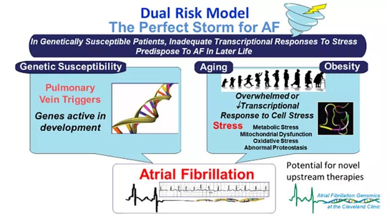 Risk model 