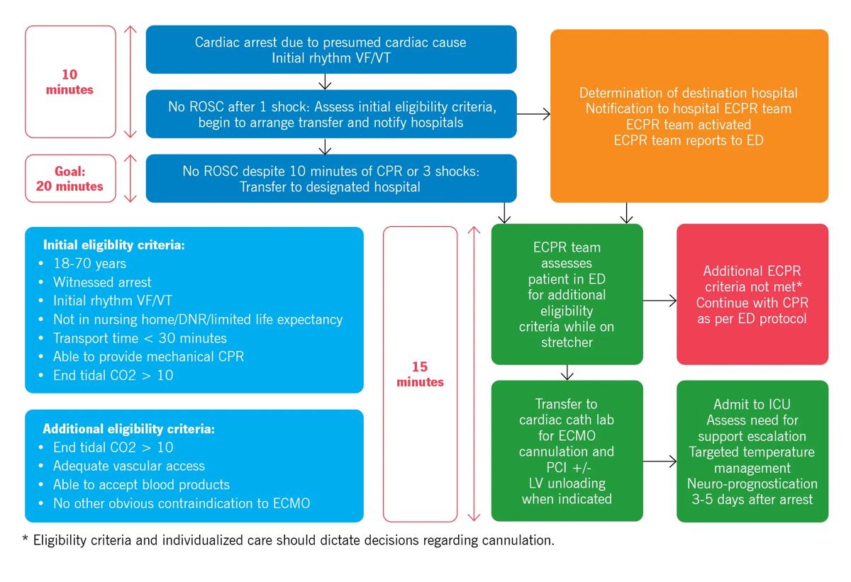 flow chart with colored boxes connected by arrows