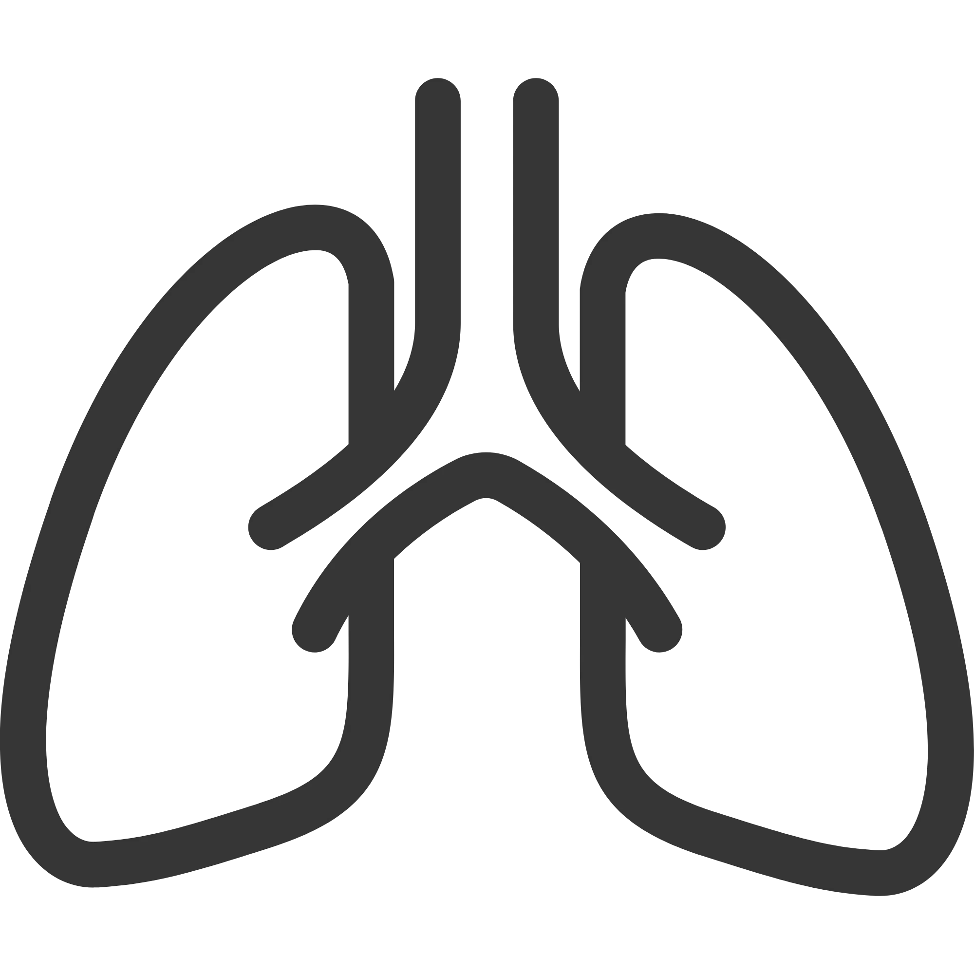 Respiratory icon