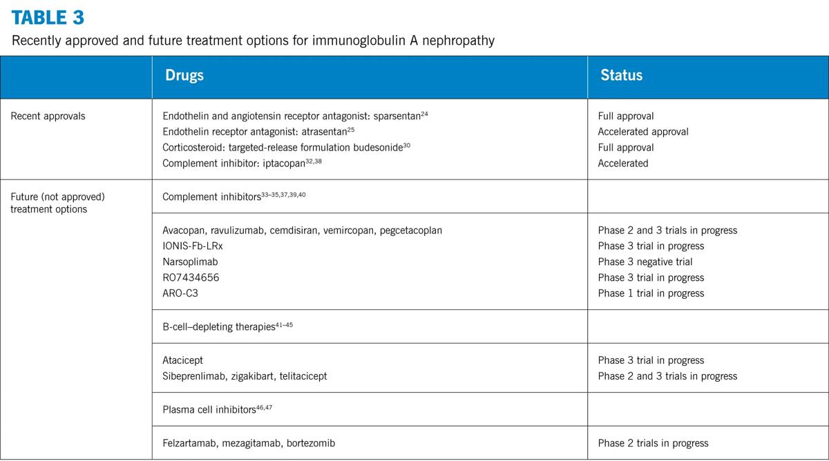 Tale with recently approved and future treatment options for IgA nephropathy