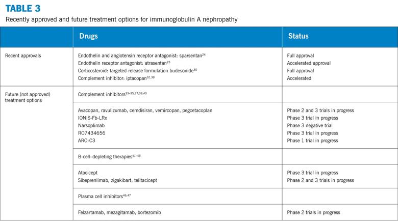 Tale with recently approved and future treatment options for IgA nephropathy