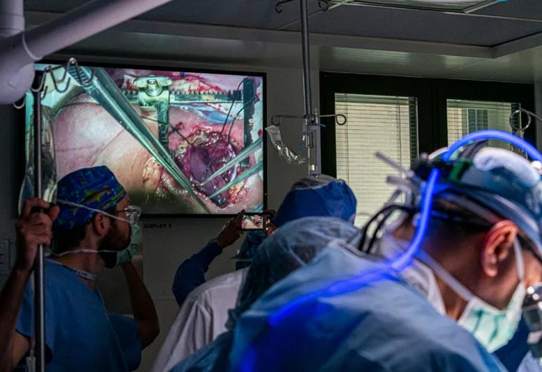 Surgical team members watch the teratoma resection in progress.
