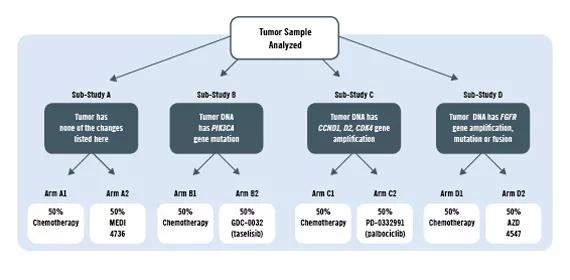 lung-chart_inset