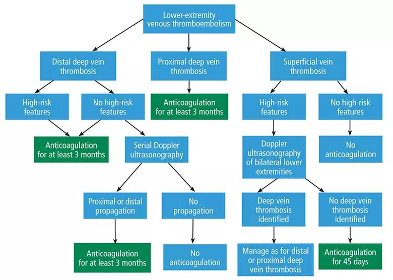 graphic of lower extremity venous thrombosis