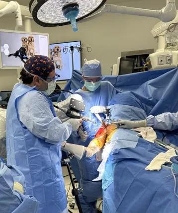 A surgeon performs shoulder surgery in an operating room