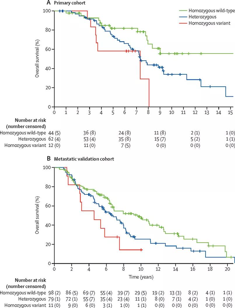 Overall survival according to HSD3B1 genotype in (A) the primary study cohort and (B) the metastatic validation cohort. Reprinted from The Lancet Oncology. In Press. Hearn JWD, AbuAli G, Reichard CA, Reddy CA, Magi-Galluzzi C, Chang K, Carlson R, Rangel L, Reagan K, Davis BJ, Karnes RJ, Kohli M, Tindall D, Klein EA, Sharifi N. , M.D. HSD3B1 and Resistance to Androgen-Deprivation Therapy in Prostate Cancer: A Retrospective, Multicohort Study. ©2016 used with permission from Elsevier.