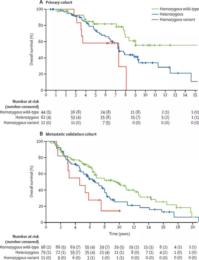 Overall survival according to HSD3B1 genotype in (A) the primary study cohort and (B) the metastatic validation cohort. Reprinted from The Lancet Oncology. In Press. Hearn JWD, AbuAli G, Reichard CA, Reddy CA, Magi-Galluzzi C, Chang K, Carlson R, Rangel L, Reagan K, Davis BJ, Karnes RJ, Kohli M, Tindall D, Klein EA, Sharifi N. , M.D. HSD3B1 and Resistance to Androgen-Deprivation Therapy in Prostate Cancer: A Retrospective, Multicohort Study. ©2016 used with permission from Elsevier.