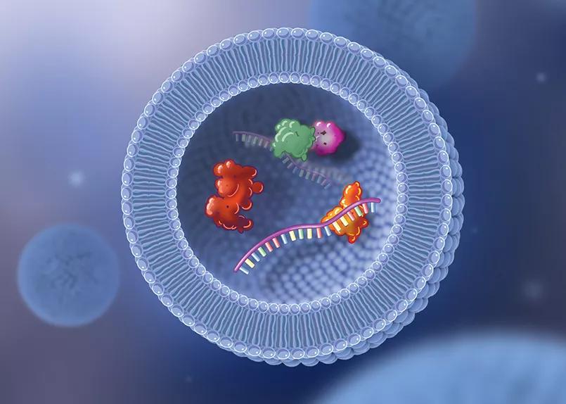 Exosome illustration