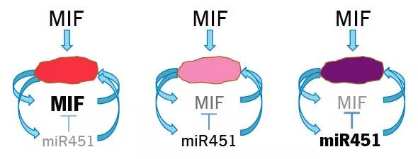 inset1