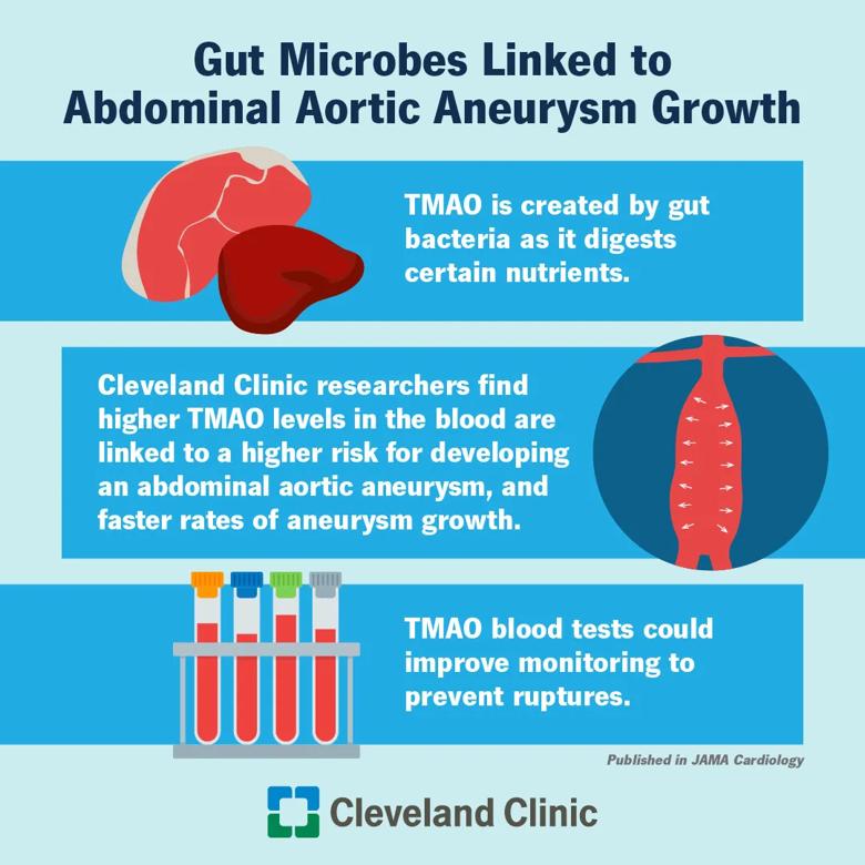 Cleveland Clinic researchers have discovered a link between TMAO and abdominal aortic aneurysms.