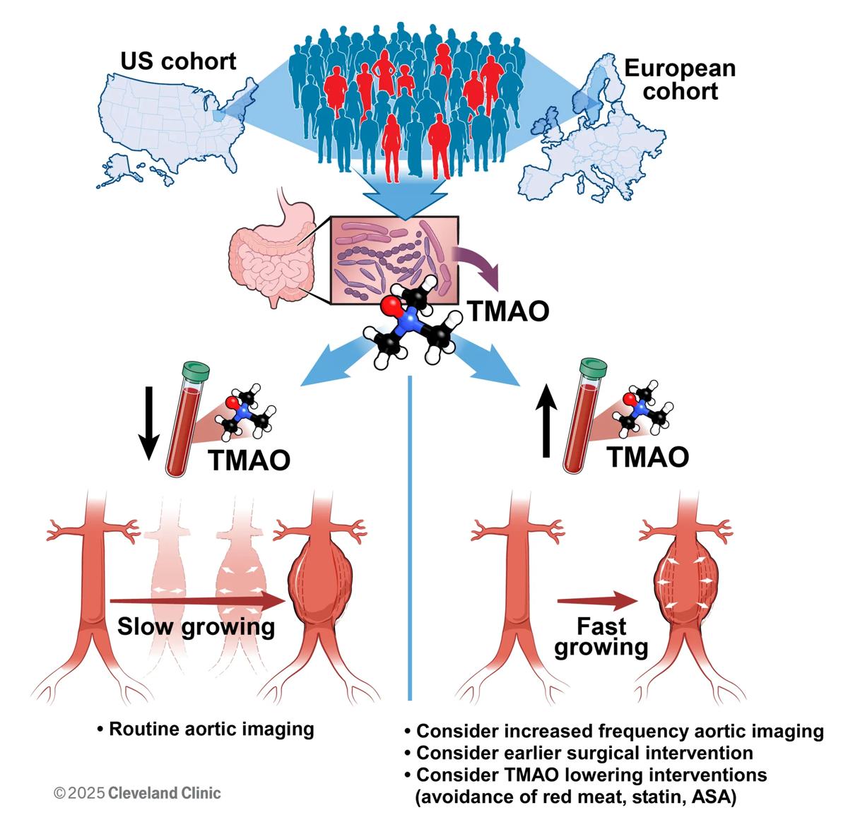 TMAO's effect on aneurysm growth and clinical management