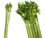 Celery 