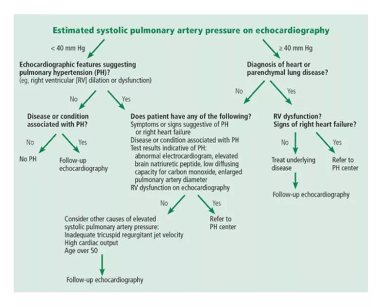 Figure 1. An algorithmic approach to the assessment of systolic pulmonary artery pressure on echocardiography. Adapted in part from Fifth World Symposium on Pulmonary Hypertension recommendations. 