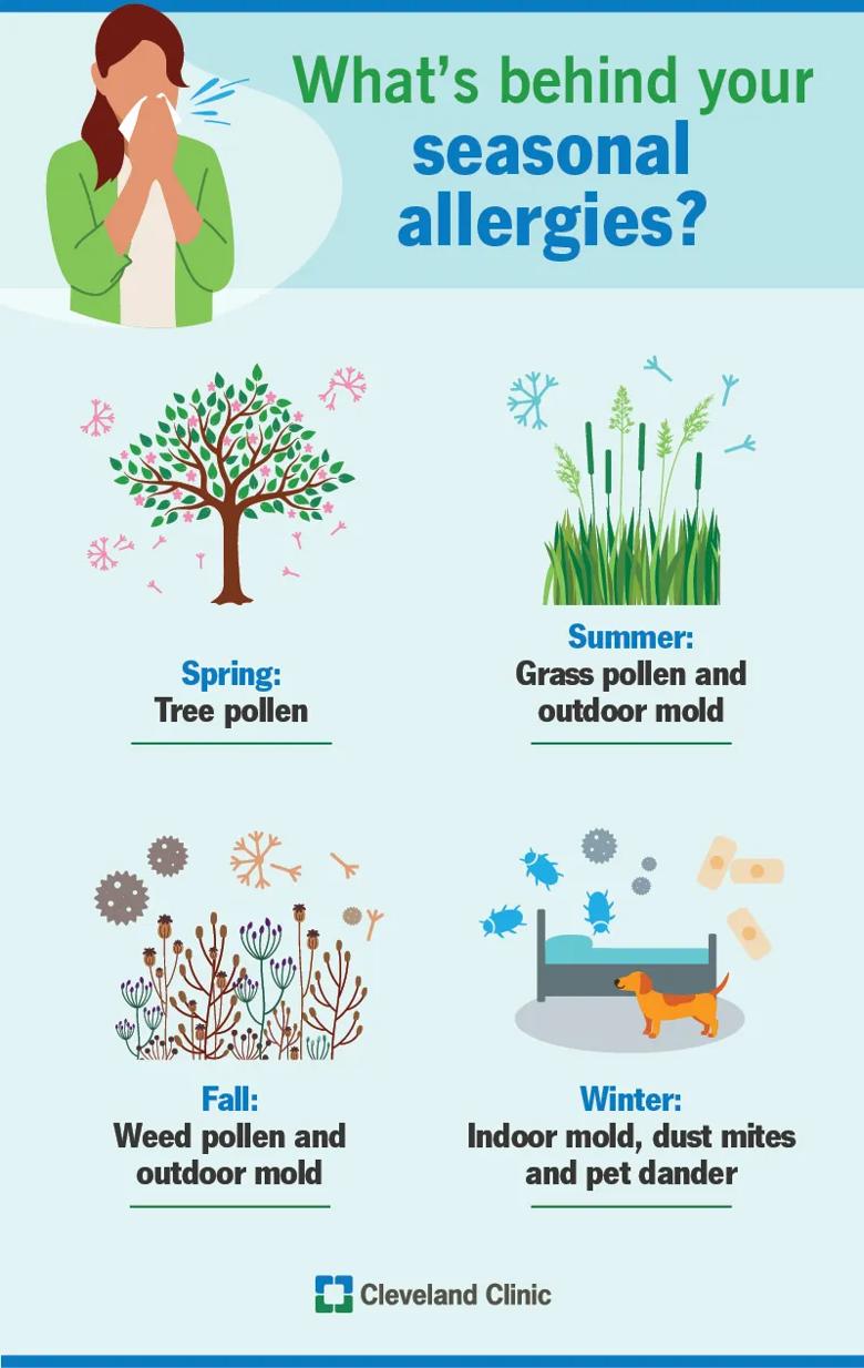 Seasonal allergy causes, like tree pollen in spring and weed pollen in fall
