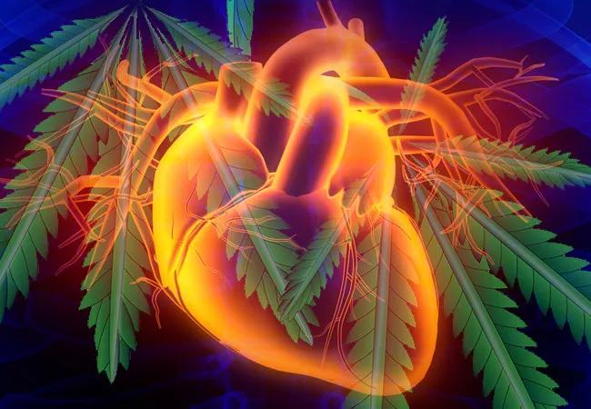 glp 1 and weed Cannabis Use Is a Growing Concern in Heart Transplant
