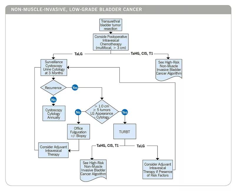 Inset-CC_Bladder_Care_Path