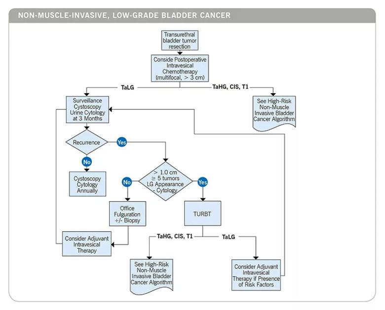 Inset-CC_Bladder_Care_Path