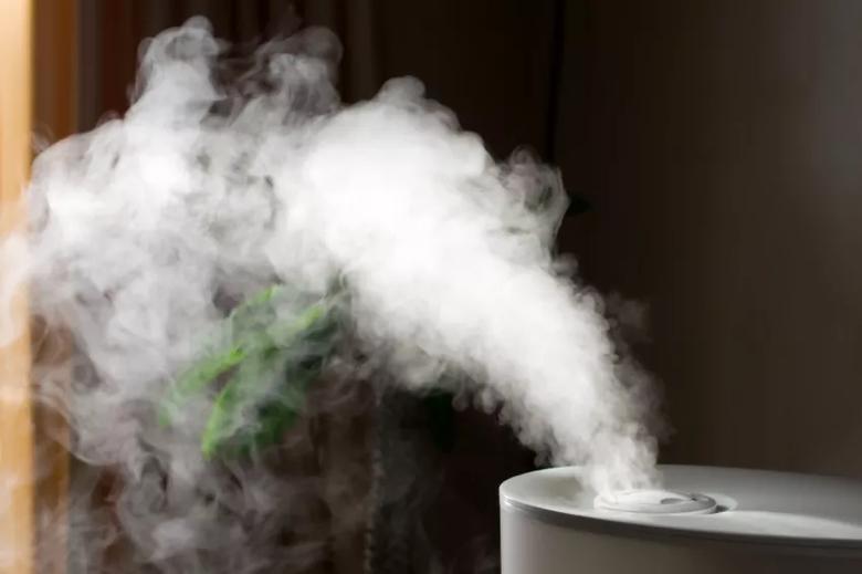 How You Can Tell If You Need a Humidifier