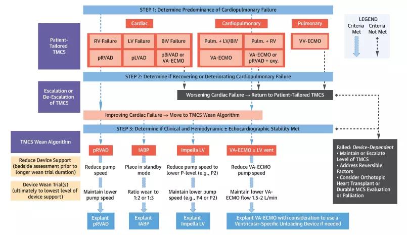  Cleveland Clinic’s device-tailoring algorithm for TMCS in patients with cardiogenic shock.