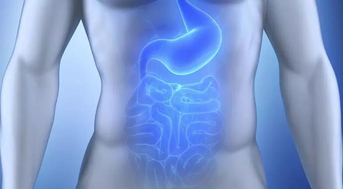 semaglutide rebound Frontiers